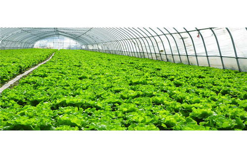德宏農(nóng)業(yè)光伏溫室大棚 奧越信科技在大棚材料及配套設(shè)施設(shè)計(jì)中的創(chuàng)新實(shí)踐