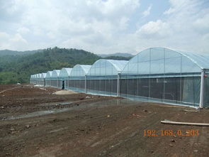 選擇睿農(nóng)溫室大棚設(shè)備 廣西大棚配件廠家的專業(yè)優(yōu)勢(shì)與價(jià)格指南