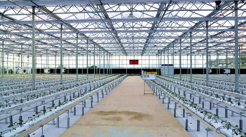 走進(jìn)四方臺(tái)紫云嶺現(xiàn)代農(nóng)業(yè)示范園區(qū)的智能溫室 大棚材料與配套設(shè)施的設(shè)計(jì)