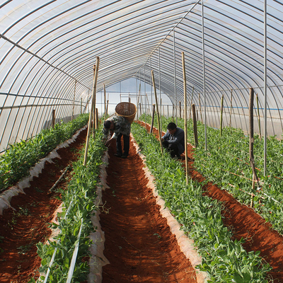 玻璃溫室、薄膜溫室與無土栽培 農業溫室大棚材料及配套設施的設計要點