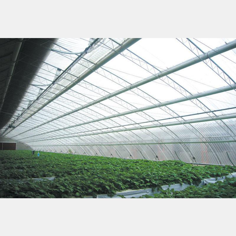 專業構筑，智慧生長 盛騰溫室引領蔬菜大棚現代化建造新風尚