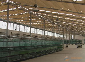 溫室農業產業鏈全景 品牌、采購、圖片與批發中的大棚材料及配套設施設計