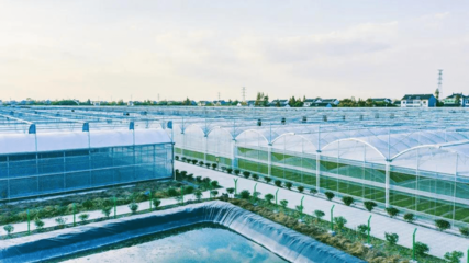 智慧農(nóng)業(yè)賦能美麗城鎮(zhèn) 平湖農(nóng)開的大棚材料與配套設(shè)施設(shè)計實踐