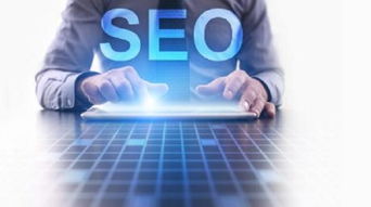 瀏陽(yáng)網(wǎng)絡(luò)推廣站內(nèi)引流策略——以瀏陽(yáng)智聯(lián)科技為例